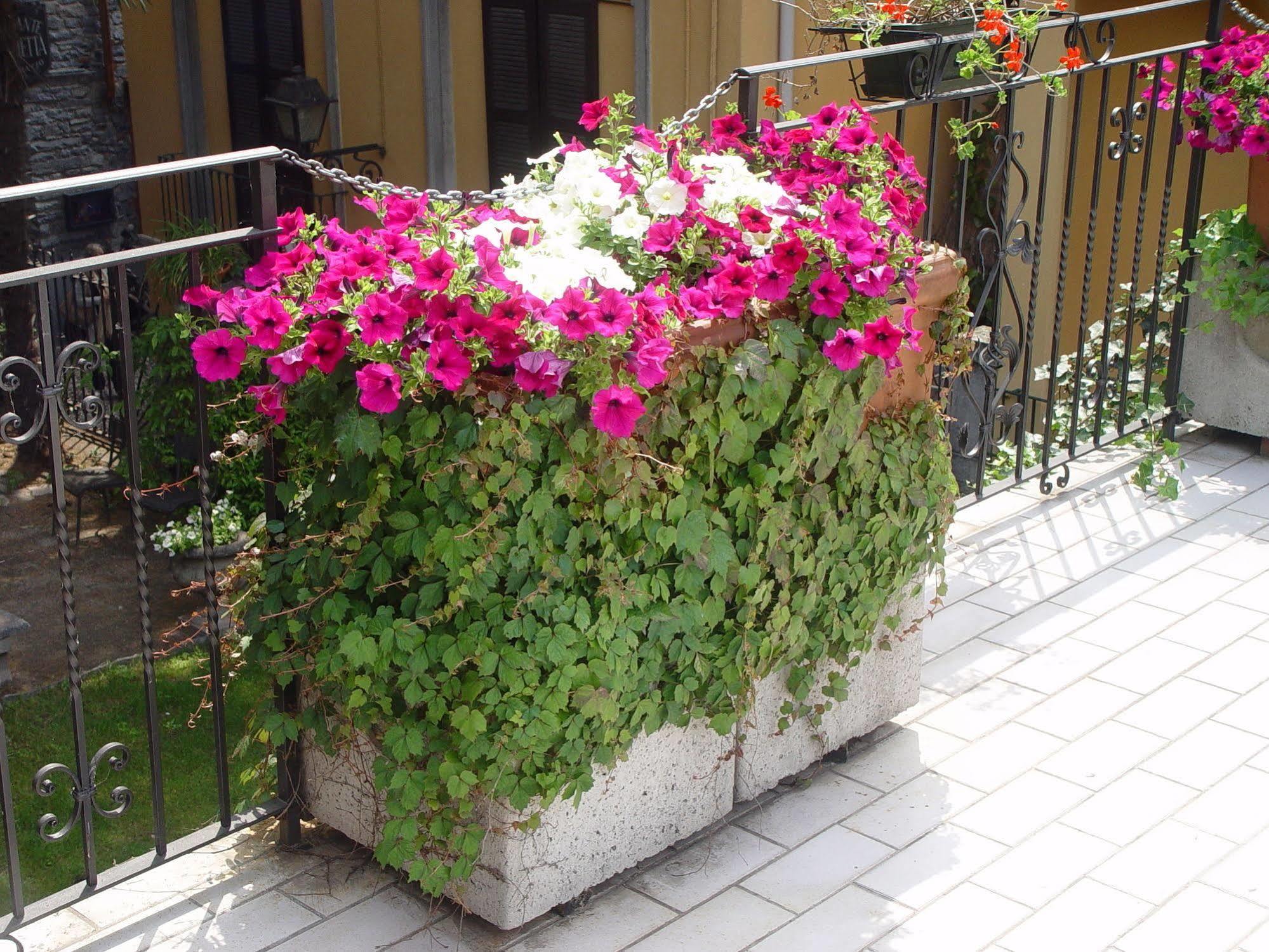 Hotel Centrale Bellagio Kültér fotó