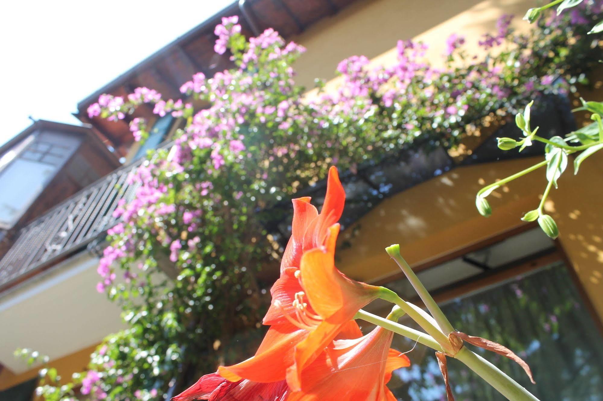 Hotel Centrale Bellagio Kültér fotó